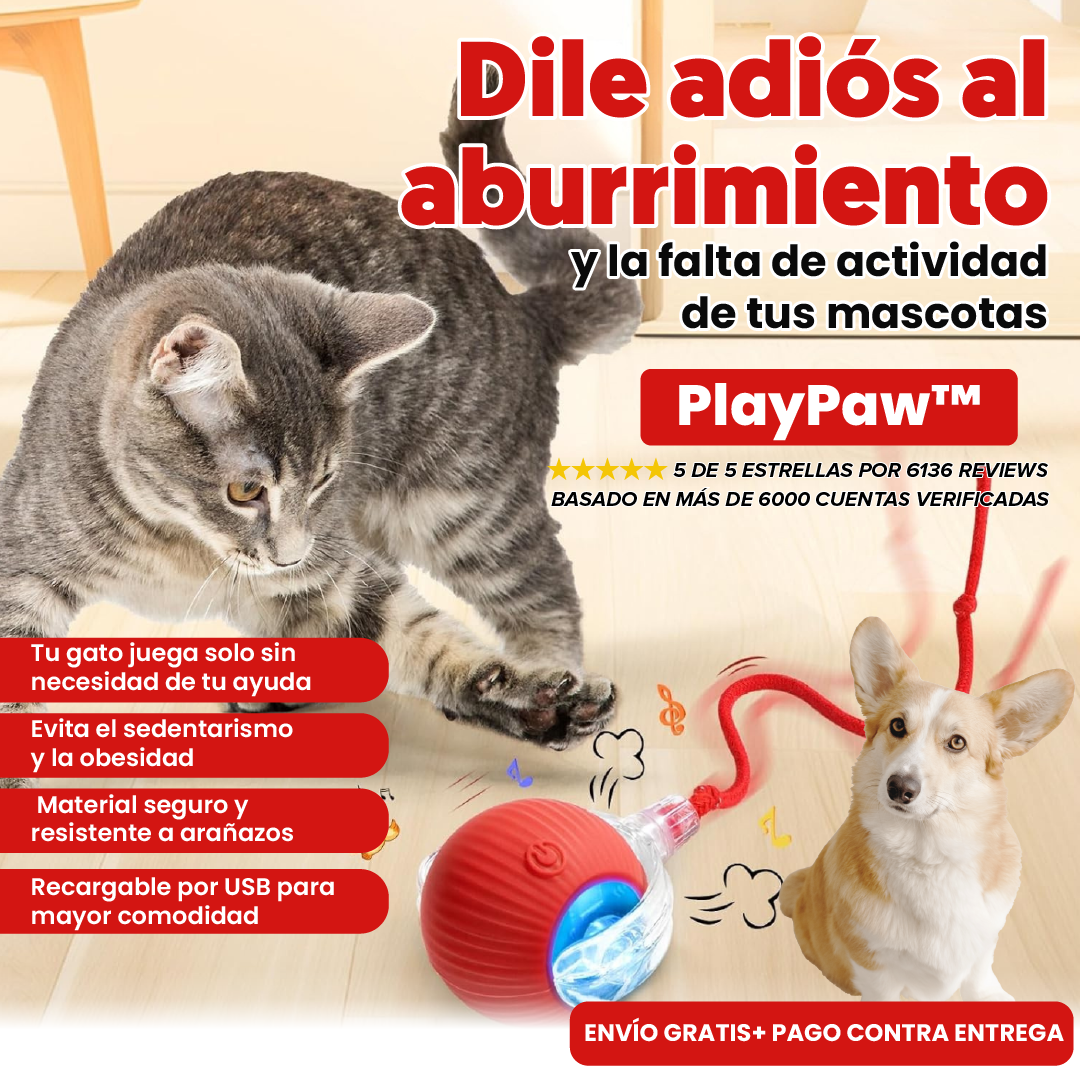 PELOTA INTERACTIVA PLAYPAW